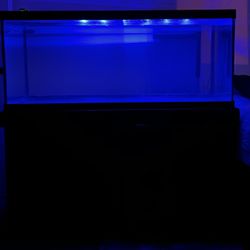 75 Gallon Fish Tank With Stand 