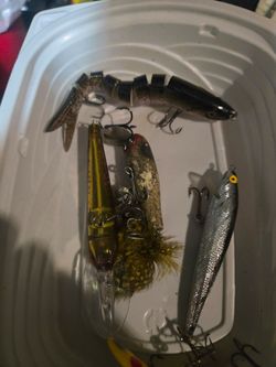 Fishing lures for a bolt