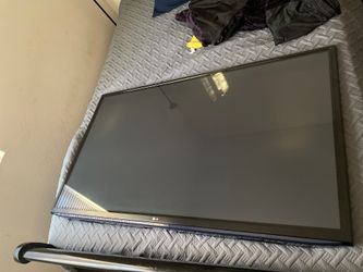 60in lg