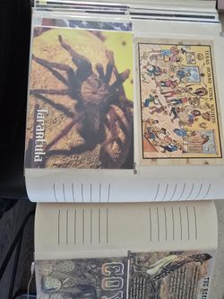 Postcards Album TX NM AZ 60+