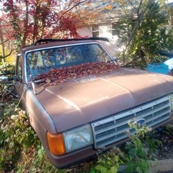 For Sale 91 F250 Cab And Bed