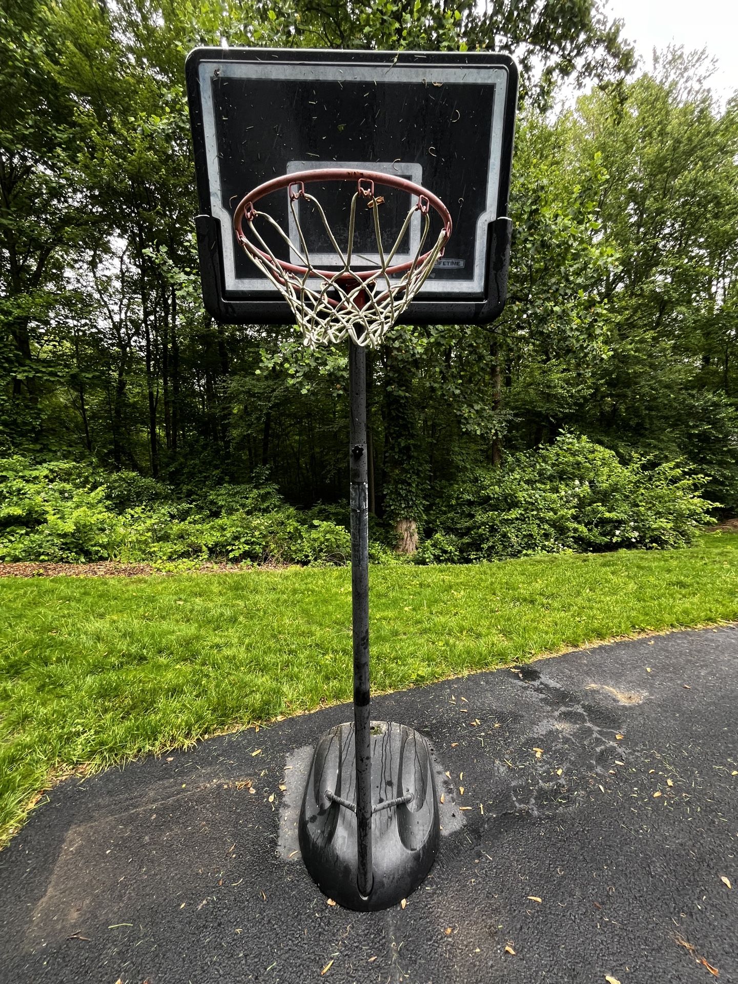 Lifetime Basketball Hoop