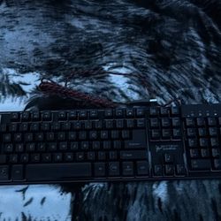skytech gaming k-1000 Keyboard w/ mouse