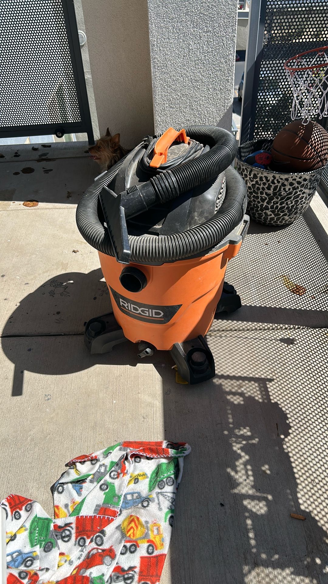 Rigid Vacuum 12 Gallon