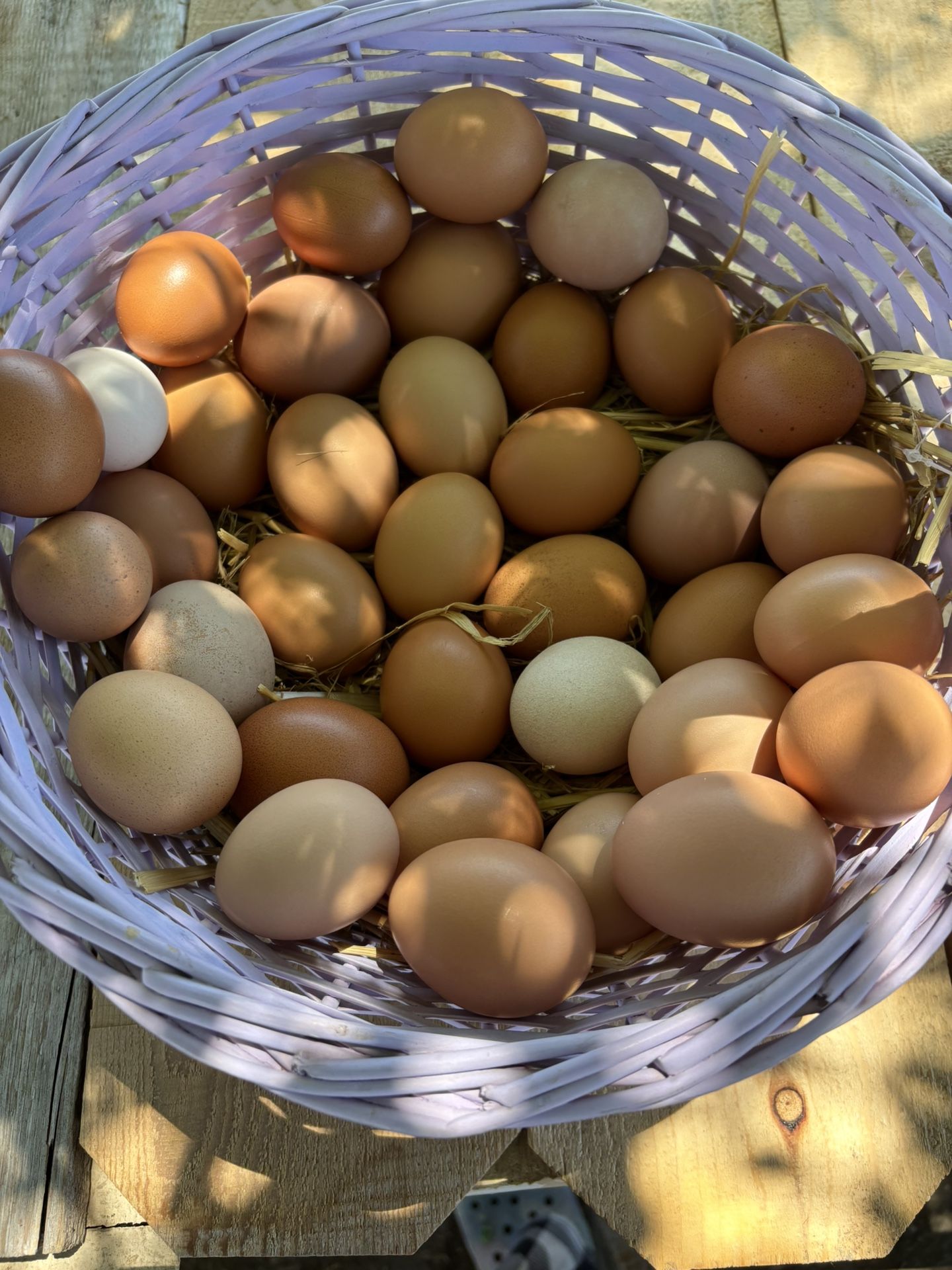 Farm Fresh Eggs