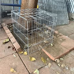 Canceles Para Pollos 