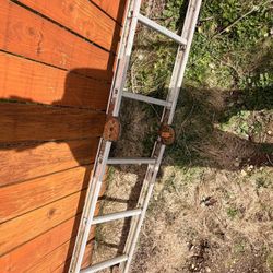 Multi Position Ladder