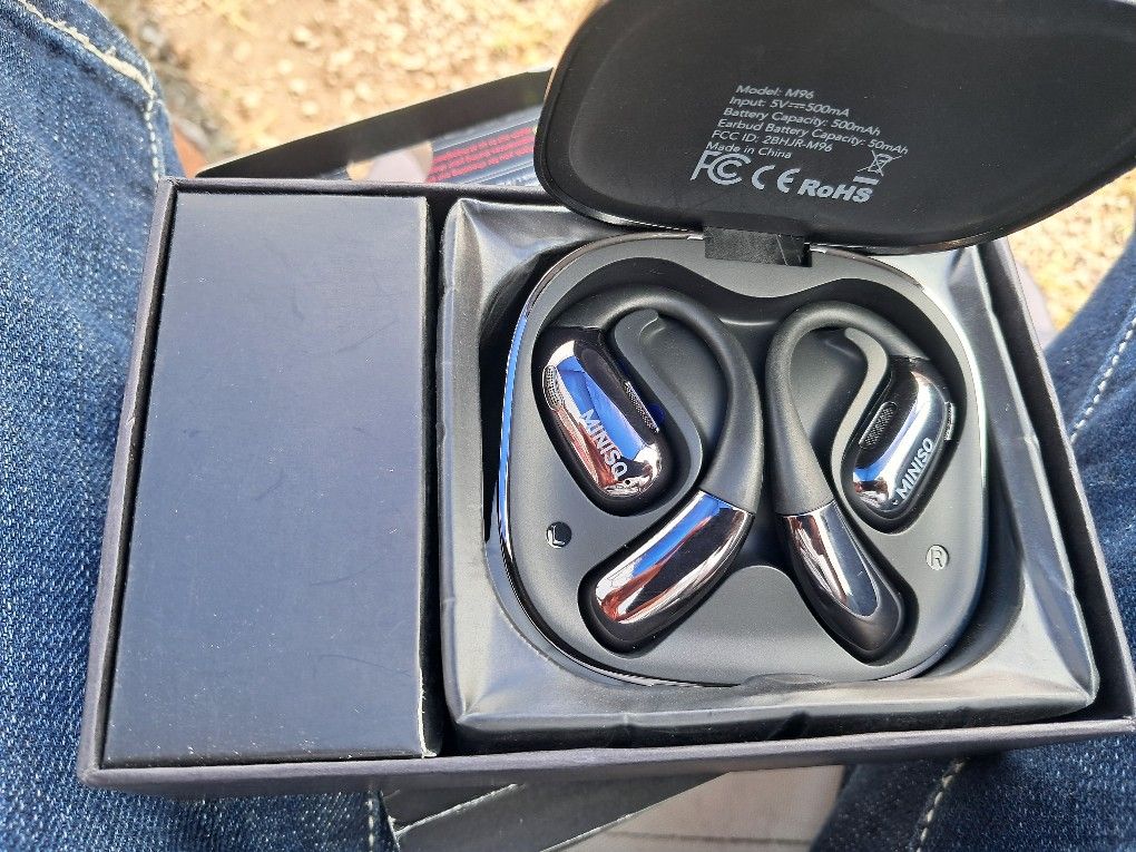 2025 Translation EAR BUDS