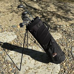 STING Flex Impact Golf Set (Orlimar Driver+3 Hybrid+2i-pw+sw+putter+stand bag)