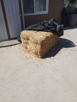 Straw Bale
