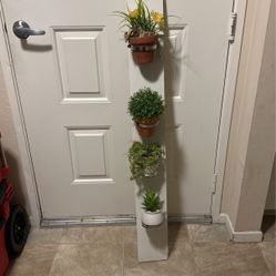 Decoration Wood Plant 🪴 Holder 