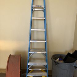 Werner 8 FT Ladder