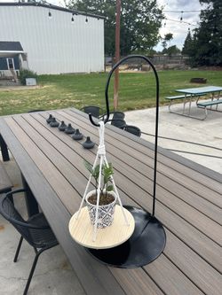 disk plate plant holder