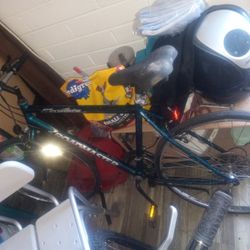 roadmaster mt climber