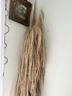 Pampas