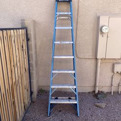Werner Ladder
