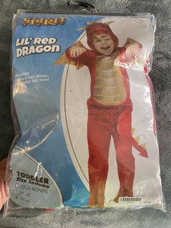 Dinosaur costume