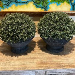2 Large Topiaries