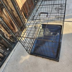 Medium Dog Kennel
