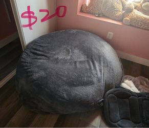 Gray Bean Bag Chair – $20