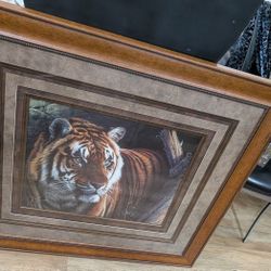Beautiful Print Of Bengal Tiger/ Fine Art.