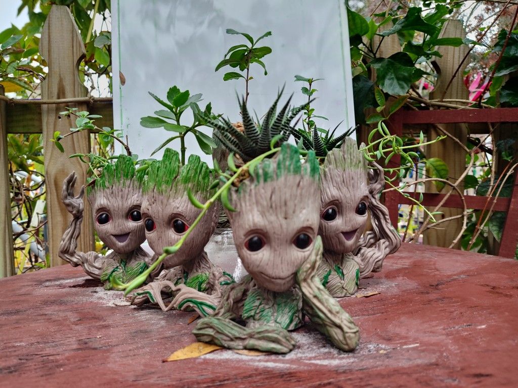 Succulents In The Avenger Baby Groot Planter