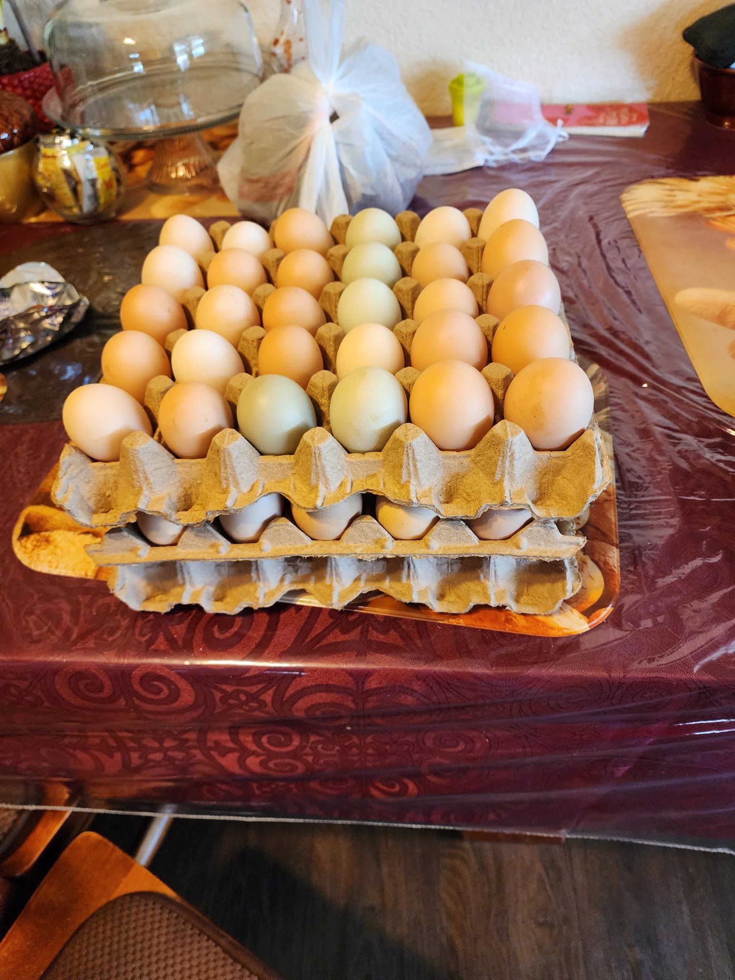 Organic Eggs / Huevos Organicos