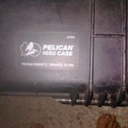 Pelican Storage Travel Case 