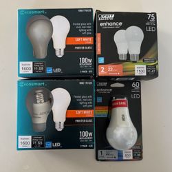 Lot Of Light Bulbs 