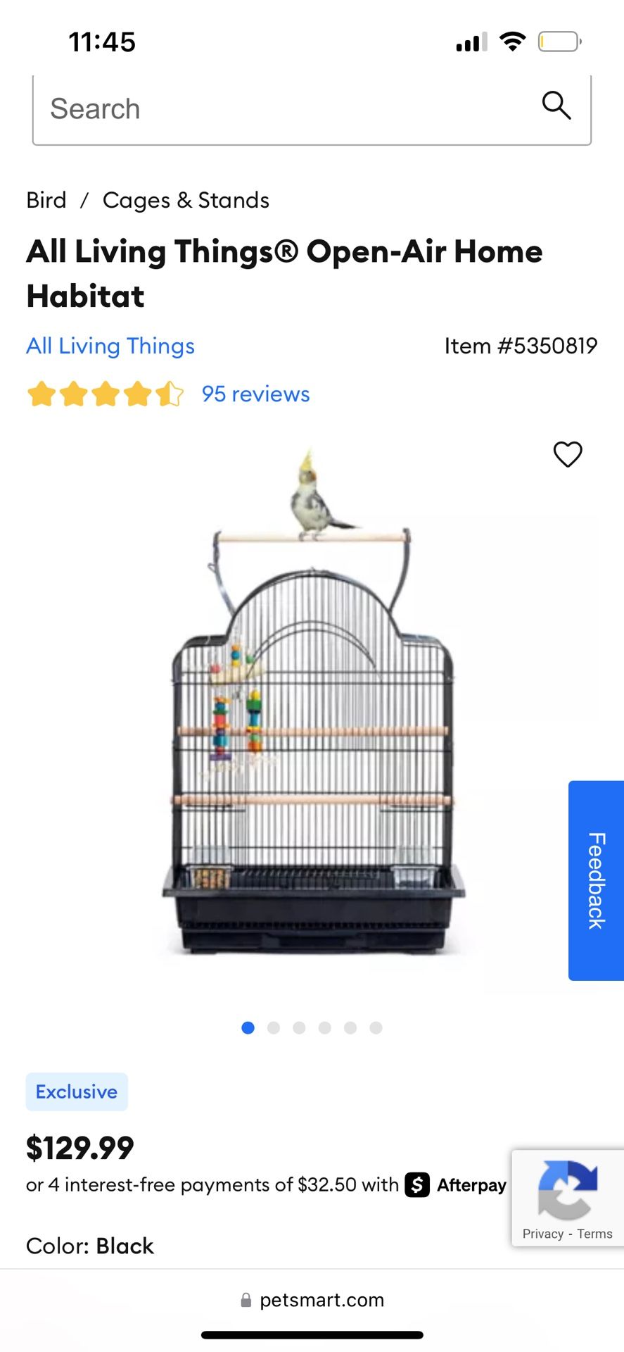 Bird Cage