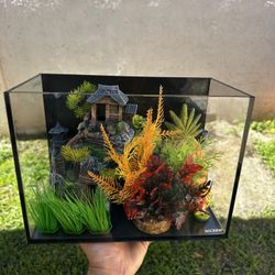Fish Tank And Decorations 