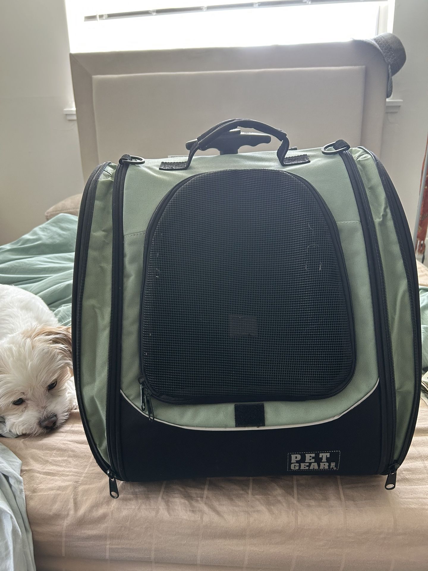 Pet Carrier