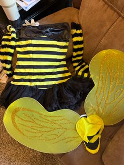 Women's Bee Costume