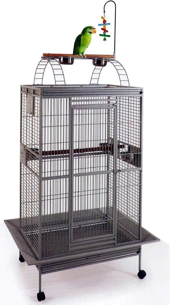 Parrot Cage