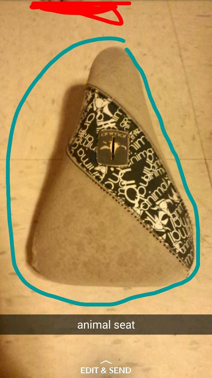 Animal bmx seat (pivotol) gently used asking $20