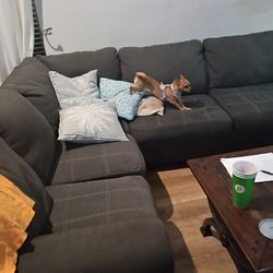 Couch