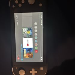 Nintendo switch lite