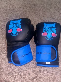 Boxing Gloves 8oz