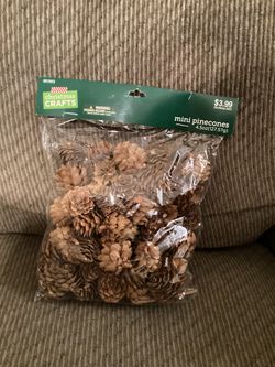 Brand New Mini Pinecones