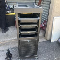 Salon Trolly Cart