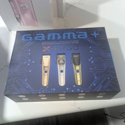 Gamma+ X-ERGO