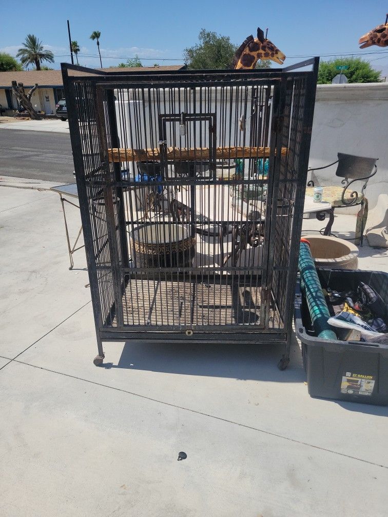 Bird Cage