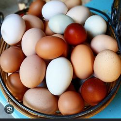 Farm Fresh Eggs Available 