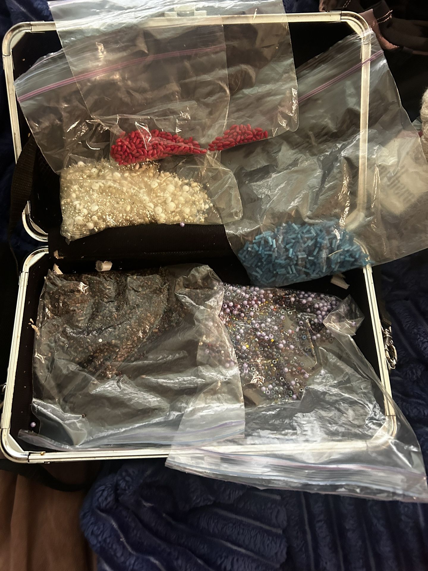 Seed Beads Case Included