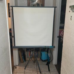 Projector Screen 