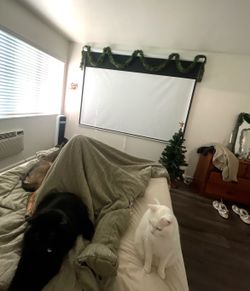 100in Projector Screen 16:9 (1080p or 4k) Indoor/Outdoor