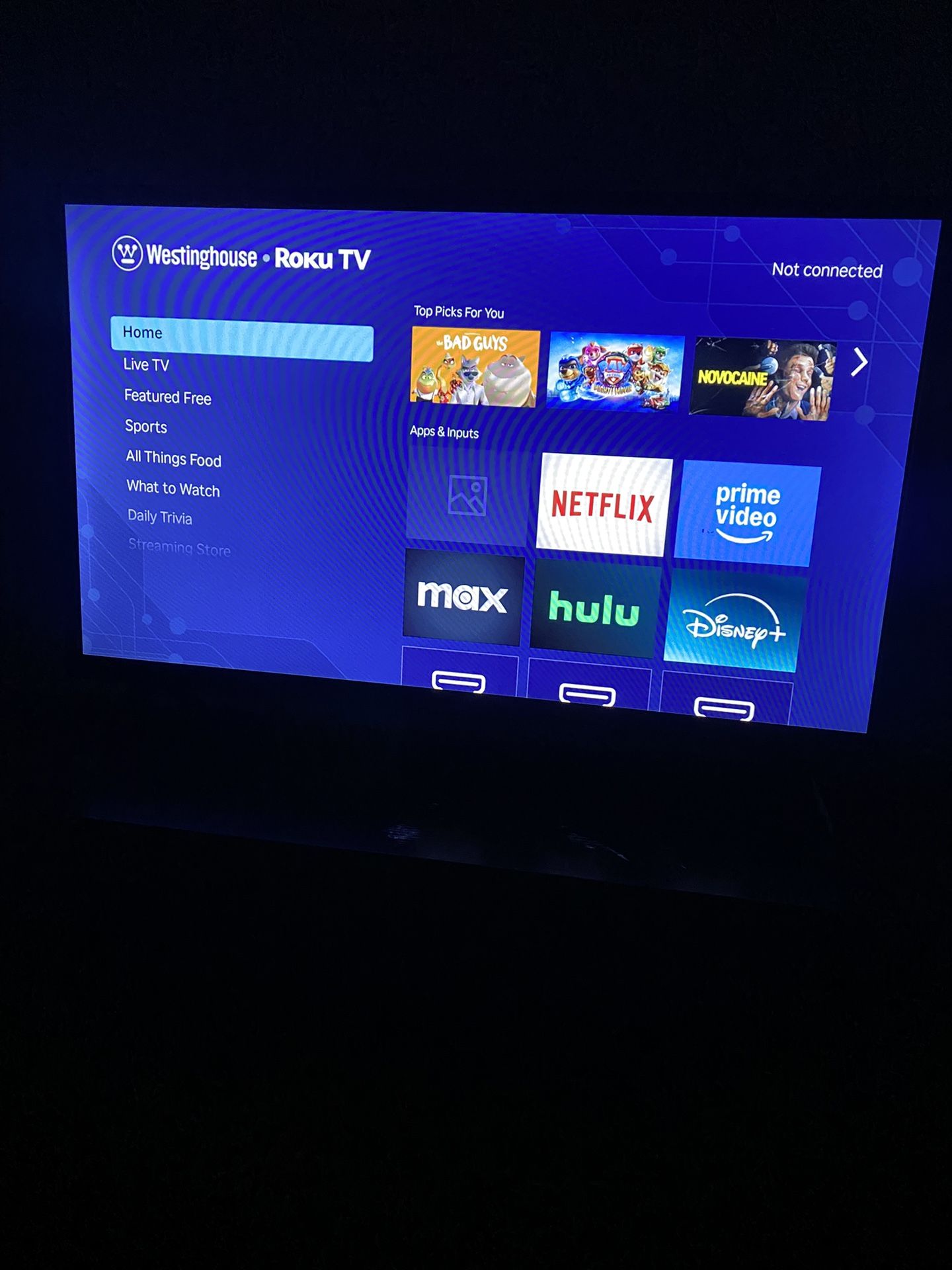 32 Inch Westinghouse TV