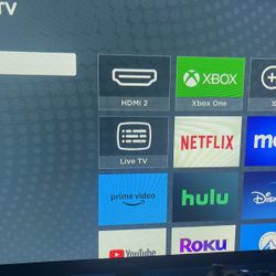 Roku  Tv Runs 4k 