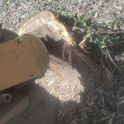 Stump Grinding 