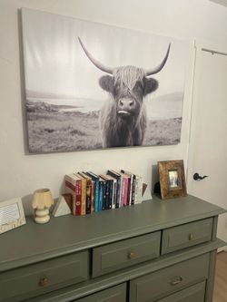 Canvas Wall Art Scottish Highland Cow Black and White